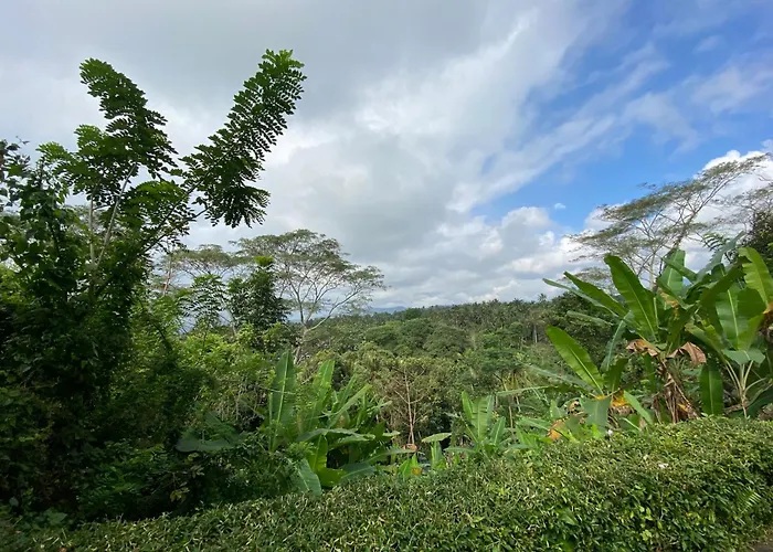 ホテル Geriasemalung Karangasem